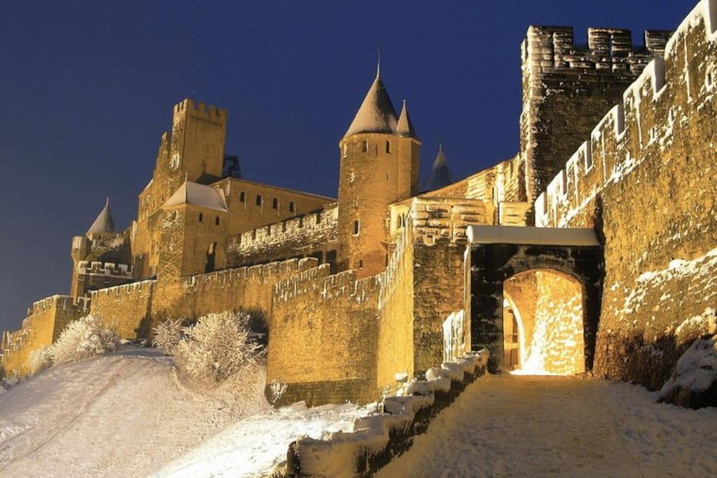 Appartamento Petit Loft Cosy Carcassonne Esterno foto