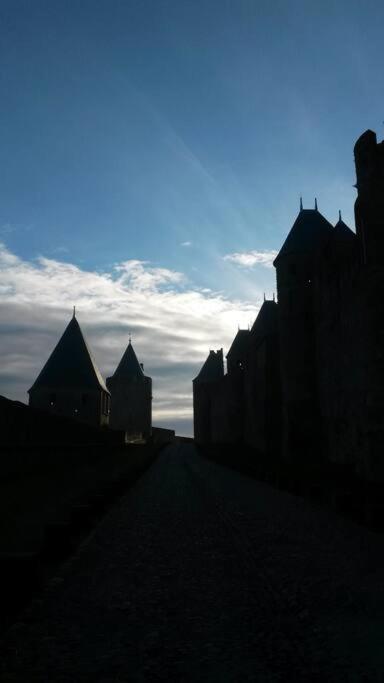 Appartamento Petit Loft Cosy Carcassonne Esterno foto